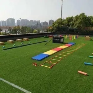 �ڰ�̩����ֲ��ǽ��ֲǽ��װ�β�Ƥ��ƺ����ǽ��ɫ�������ڼٲ�