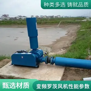 ����ʽ�ķ�� ��Ҷ�޴ķ�� ��Ƶ������ �����ȶ�