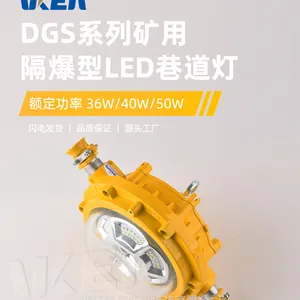 玮肯防爆 DGS36/127L(A) 煤矿用隔爆型LED巷道灯 款式多样