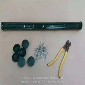 ��̩��ֳ�� ��ɫ��ֳ�� Ȧ����
