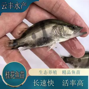 ���ٿ������ ��Դ������ �㶫���������� ��������