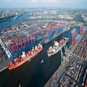 肇庆到越南国际海运专线 海运跨境电商物流 保险足额
