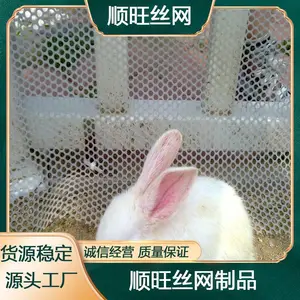 ����ϩ��Ѽ������ ��ɫ��ֳƽ�� С�׹�����Ƭ
