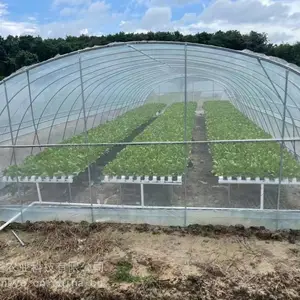 双拱双膜单膜温室设计建设 双膜温室造价 双膜温室蔬菜大棚 贝塔农业