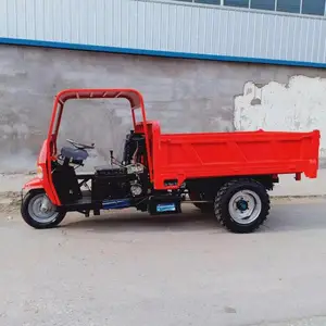 ʵ����̥�����Ŷ���;������ С�ͽ����������ֳ�
