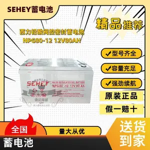 SEHEY��������NPG/SH120-12 12V120AHֱ���� EPS UPS��Դ ����ר��