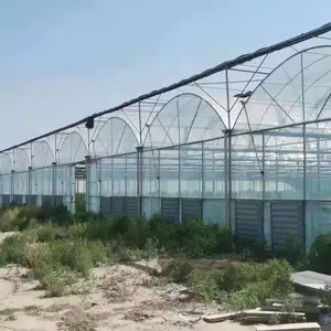 温室大棚建设一站式服务多种大棚类型定制建造