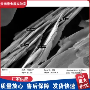 纳米级超细片状银粉NFS-1 低温烧结型纳米银焊膏 粒径均一性好