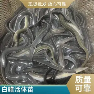�����糧�ҹ�Ӧ �������� ˮ�������ֳ�������������