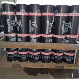 ������˹׼������������sbs��ˮ������������