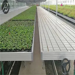 潮汐苗床左右移动一般什么规格