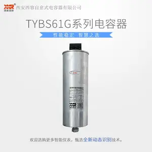 TYBS61圆柱型电容器