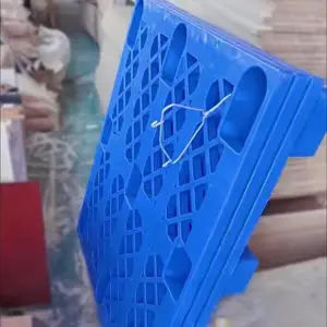 ¤����������,¤�Ϸ��������ϵ������