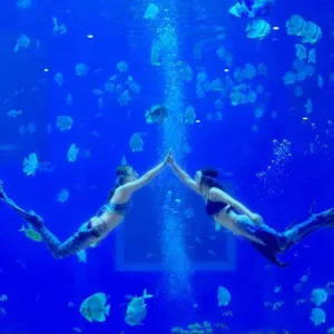 ˮħ�� ������չ ��ʨ���� ���ڳ��ں��� ������ǿ ����ֱ�� ��������