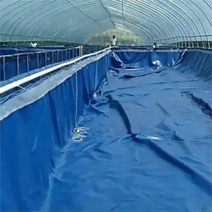 �����첼������ֳ������ƹ�˾ ���ܹܲɹ�Ч���� ³��