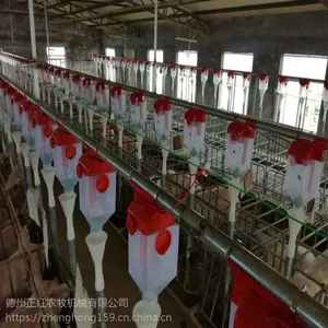 养猪自动饲喂料线 生产定做安装养猪设备自动化料线 上门安装服务