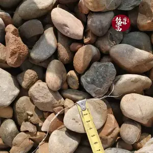 广东清远杂色鹅卵石人工湖泊岸石鹅卵石河道铺湖底鹅卵石-413