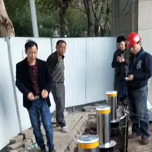 液压电动防撞柱 地埋式伸降挡车柱 304不锈钢全自动升降柱
