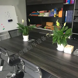 合肥奇缘游乐设备有限公司