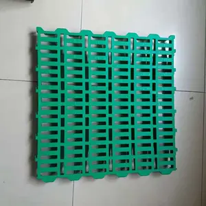 �������� ��������� ��������
