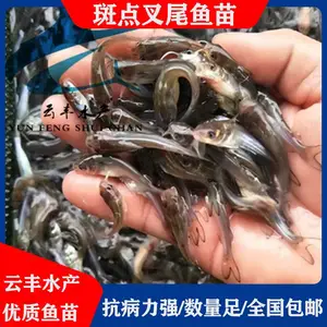 ����ˮ��***��β�t���� �γǹ�Ӧ����***��β���� ��β���������