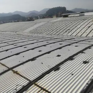 佛山龙江铁皮瓦防水防锈杏坛外墙防水伦教卫生间防水补漏