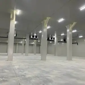 �����������ⶳ���������Ѷ��Ʋ�������