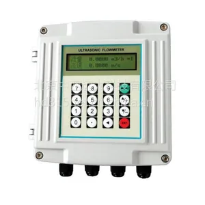 固定声波流量计 型号:DX1-UFLO2000F1AM