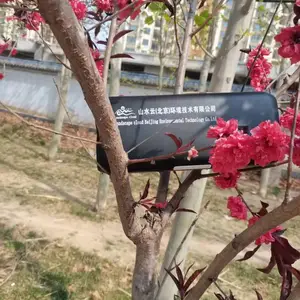 Σ�շ����ǩ��ӡ���ռ����ר���豸ɽˮ��