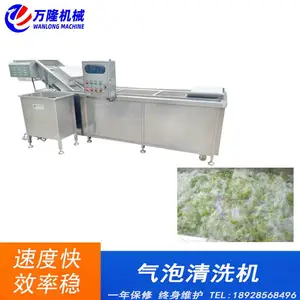 自动蔬菜沙拉清洗线 蔬菜沙拉清洗机 沙拉菜生产线解决方案