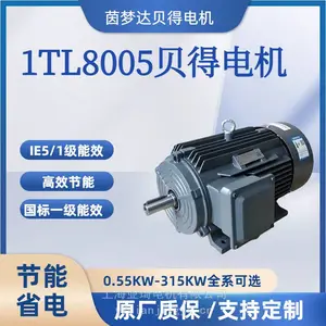 1TL0003-3BC63-3GA4-250KW贝得1TL0003/1TL8004/1TL8005 铸铁系列低压高效三相异步电动机
