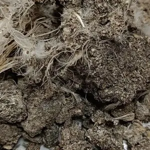 库尔勒发酵鸡粪批发阿勒苏颗粒有机肥库车干鸡粪高温腐熟无臭味