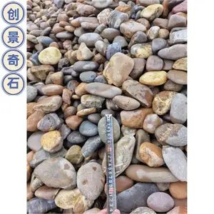广东佛山鹅卵石过滤石材 佛山鹅卵石步道填充 佛山污水处理厂鹅卵石