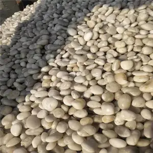 广东 荣茂大型鹅卵石 天然鹅卵石去哪里能买到