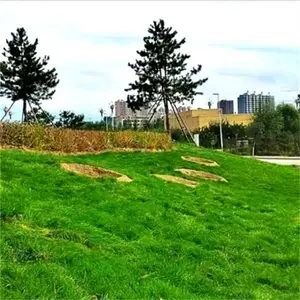 ���γ�����ֲ���ר���������˶������Ѳ�����