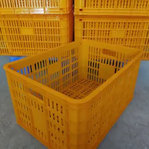 百色塑胶筐 田东芒果筐 田阳蔬菜箩框批发