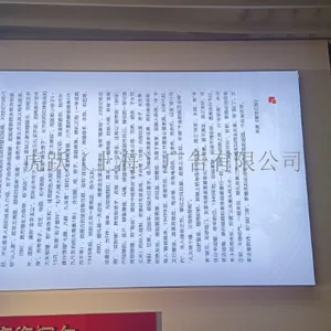 奉贤区创意灯箱模型 服务至上 虎跃广告公司供应