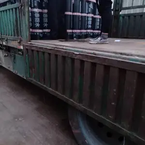 ������Ƥ�ص�����SBS��ˮ���Ĺ���ͺ�