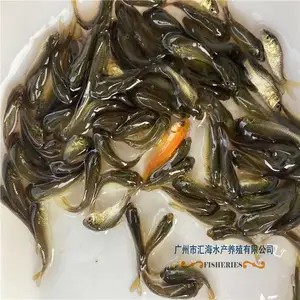 ����������س��ڹ�Ӧ�̻������� �ɻ������� ������ �������� �ɰ������� ������ �ɻ�***