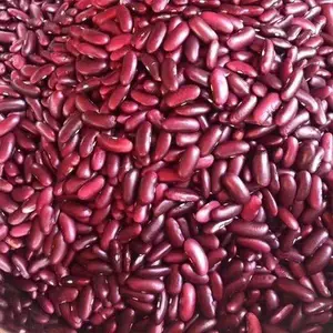 现货发布五谷杂粮微波烘干机烘焙熟化一体机 红豆熟化