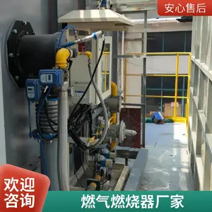 岱鼎燃烧水套炉废酸焚烧炉转炉煤气天然气烧嘴燃烧系统源头厂家