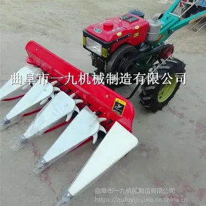 ��Ӧ���������ǰ�� ũ�ø�ɹ�� «έ�ո�� �������