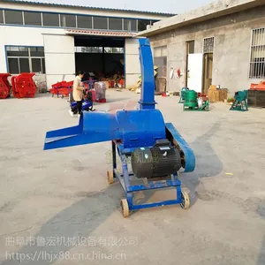 С�����׽ո���˿�� ţ��ר����˿�� ɽ��³��
