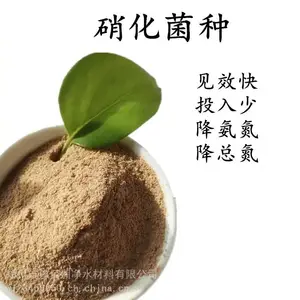 甘肃生物菌种加工生产 豫佰润菌种活性高 厂商直供