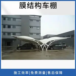 ����ʮ����Ĥ�ṹ���� ������ Ĥ�ṹ����ͤ Ĥ�ṹ���г���
