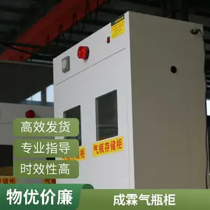 防爆通风报警器柜- 智能全钢双瓶气瓶柜-成霖15年老品牌