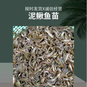 �����ֹ�������������***��/̨���������������ء���������������̴�������