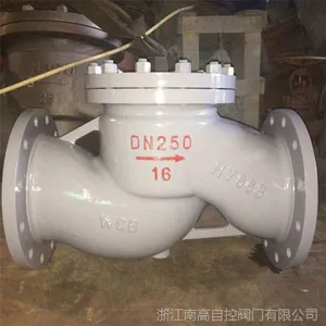 批发供应 法兰气体单向阀止回阀 H41H-25C DN20