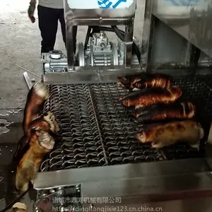 生产烧毛机厂家 猪脚喷毛机 网带输送烤毛机 上下喷火