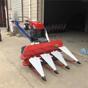 չ�����������ո�� 1�׸��С���ո������8������ɹ���۸�